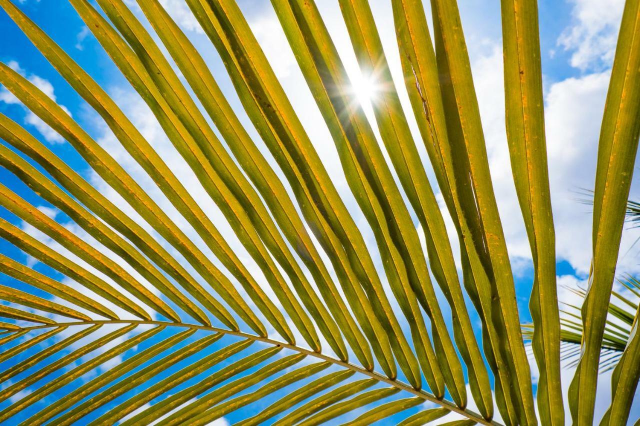 Beaches Bonaire Kralendijk  Exterior photo